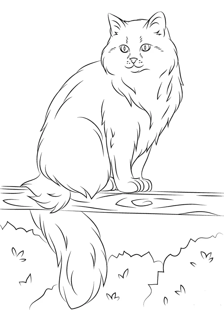 Fluffy Cat Sitting: Adorable Cat Coloring Pages