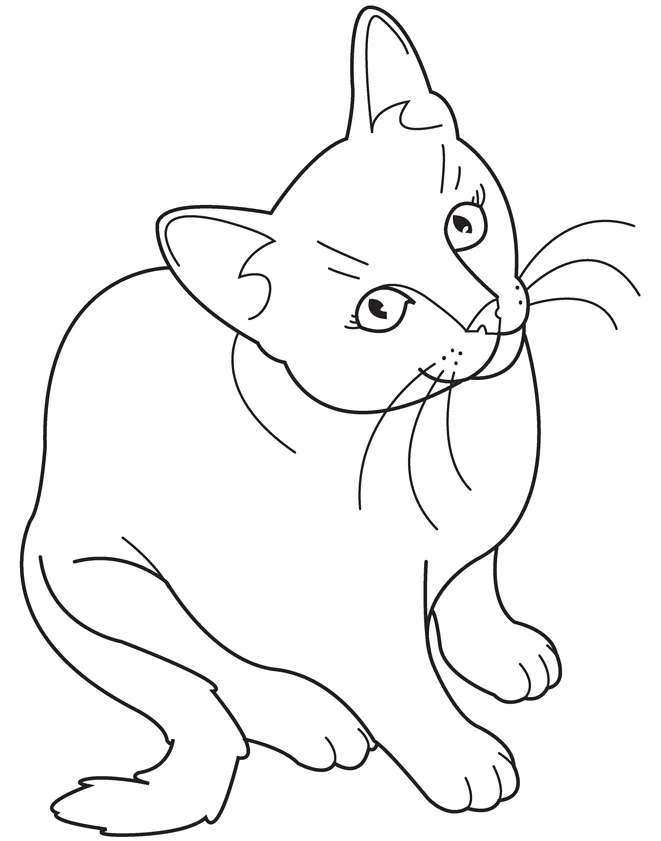 Playful Sitting Cat Coloring Pages for Kids