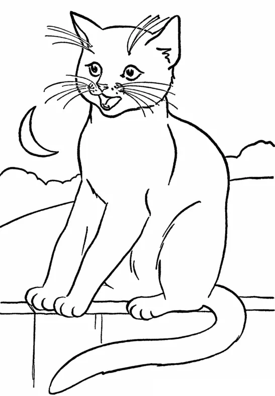 Smiling Cat on the Fence Cat Coloring Pages
